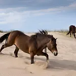 Aan Zee En Duin