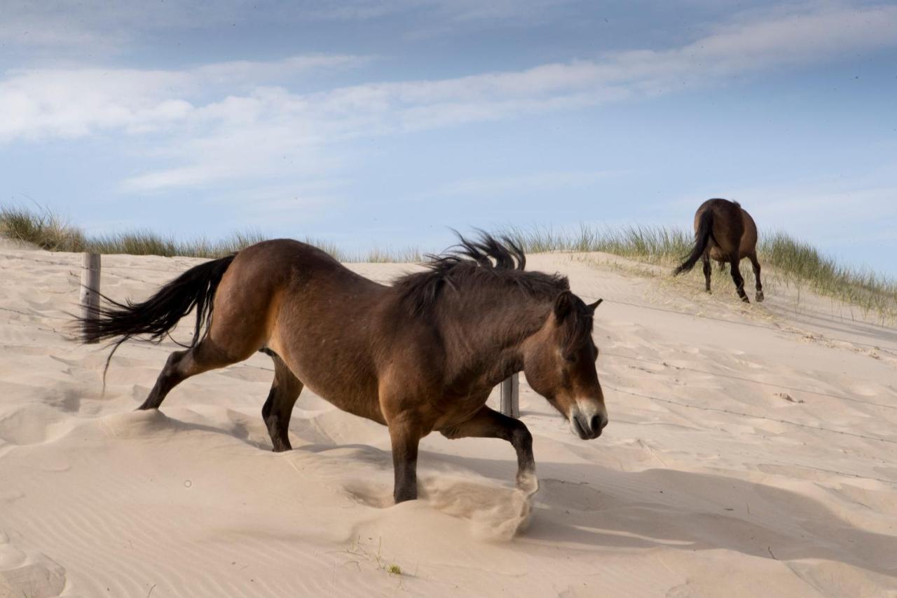 Aan Zee En Duin Ferienhaus Egmond aan Zee